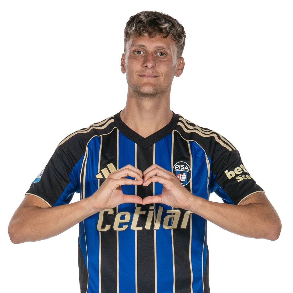 Piccinini