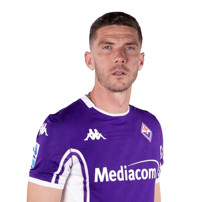 Robin Everardus Gosens